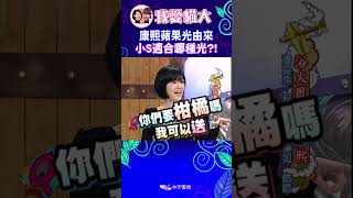 康熙蘋果光由來 小S適合哪種光【康熙來了 shorts】 小s 蔡康永 搞笑 [upl. by Annahsor]