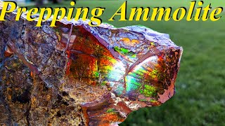 Unbelievable Colors Prepping a Pile of Raw Ammolite Specimens  StepbyStep Guide [upl. by Akimrehs497]