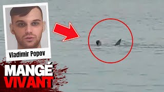 La Terrifiante Attaque Du Requin Sur Le Touriste Vladimir Popov En Egypte [upl. by Smoht]