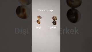 music song doğaltaş kesfetacil doğaltaşlar kesfet keşfet remix dance [upl. by Alehs413]