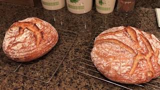 Basic Crusty Bread Recipe [upl. by Bencion]