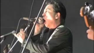 THE ROOSTERS  Live at The Fuji Rock Festival 2004730 [upl. by Nealon]