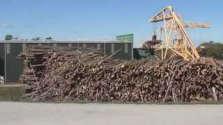 Fulghum Fibres Gold Hill Mill near Dillwyn Virginia [upl. by Imot662]