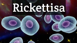 Rickettsiamedical microbiologyHindiintracellular parasite [upl. by Yarod]