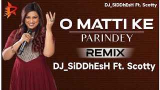 O Matti Ke Parindey Remix DJSiDDhEsH Ft Scotty  Yakeen Ka Safar Parizaad By Richa Sharma [upl. by Atiuqrahc]