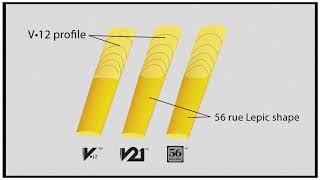 Vandoren V21 Clarinet Reeds [upl. by Pickard]