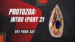 VET PARA 1  Protozoa Introduction Part 2  Chapter 10 [upl. by Lee]