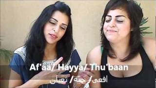 Arabic for beginners  Animals الحيوانات [upl. by Allain]