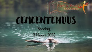 Gemeentenuus vir 3 Maart 2024  Stilbaai NG Gemeente [upl. by Latif]