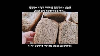 통밀빵이 이렇게 부드러울 일인가요 밥솥만 있으면 쉽게 건강빵 만들수 있어요 [upl. by Nyvets10]