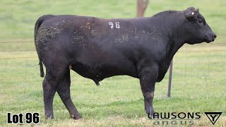 Lot 96 Lawsons Veracious VLY23U4021 [upl. by Engud]