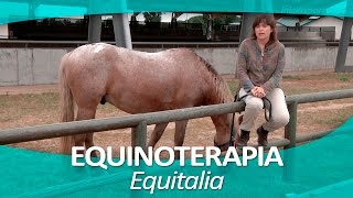 EQUINOTERAPIA 11  Equitalia [upl. by Odracer]