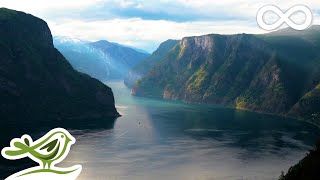 Beautiful Relaxing Music • Norwegian Nature amp Violin Flute Piano amp Harp Music [upl. by Nilloc]