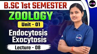 BSc 1st Semester Zoology Unit1st Endocytosis Exocytosis Lecture08 by Yashita Mam [upl. by Xet]