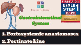 Portosystemic anastomoses pectinate line anatomy of GIT from first aidpart 4USMLEUrduHindi [upl. by Rydder53]