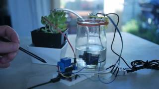 Autonomous Plant  Proof of concept [upl. by Ultima925]