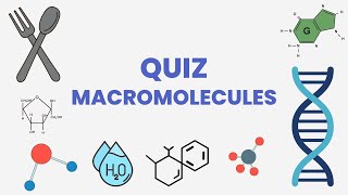 Quiz Macromolecules [upl. by Ailet]