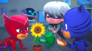 Catboy Owlette and Gekko in Action  PJ Masks  Cartoons for Kids  Animation for Kids [upl. by Lanuk861]