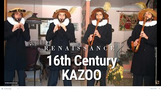 I played FOUR 16th Century KAZOOs Renaissance Italian theme [upl. by Heidie]