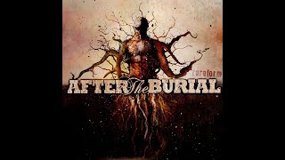 After the burial  Cursing Akhenaten from Rareform 2008 [upl. by Pacifica]