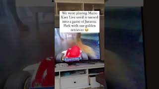 Mario Kart Live gone WRONG when dog approaches supermario [upl. by Mullen]