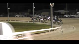 Mildura Harness Racing Club 1 Jul 2024 Trial 4 [upl. by Olav54]