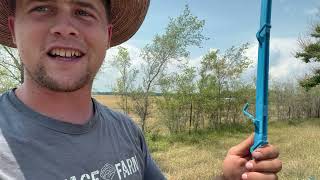 Why I Like Kiwitech Fence Posts Over OBrien Treadaline  Kansas Ranch [upl. by Munmro]