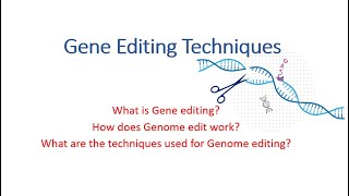 What is Gene Editing Part1  Function and Application of gene editing techniques biotechnology [upl. by Ricoriki]