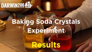 RESULTS  Baking Soda Crystals Experiment Segment from Worlds Most Exciting Classroom Episode 31 [upl. by Stahl]