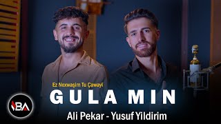 ALİ PEKAR Feat YUSUF YILDIRIM  GULA MIN Ez Nexwaşim Tu Çawayi [upl. by Hilbert]