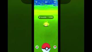 I Caught Sewaddle in Pokemon Go Shorts PokemonGo Sewaddle [upl. by Euqinomad187]