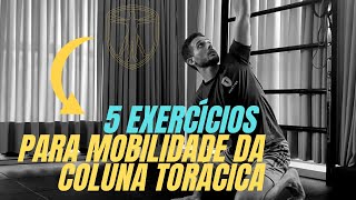 5 Exercícios para Mobilidade da Coluna Torácica [upl. by Olivier]