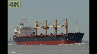 PRIME STAR  Shipspotting Germany 🇩🇪 IMO 9612284  River Elbe near City Otterndorf  4K VIDEO [upl. by Renner]