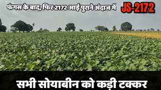 JS2172 सोयाबीन ।। js2172 soyabin variety ।। [upl. by Mirabelle138]