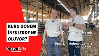 Kuru Dönem İneklerde Ne Oluyor Prof Dr Armağan Hayırlı  Prof Dr Mehmet Cengiz [upl. by Martie]