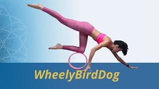 WheelyBirdDog [upl. by Yevi833]