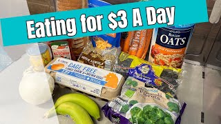 20 for 7 Days  Eating for Less Than 3 A Day  Emergency Grocery Budget [upl. by Leciram]