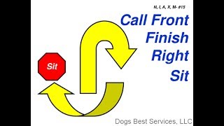 AKC Rally Novice Sign 15  Call Front – Finish Right – Sit [upl. by Chiang]