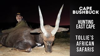 Bushbuck  Eastern Cape Hunting  Cape Bushbuck with Tollie’s African Safaris  Hunt East Cape [upl. by Sucramed]