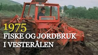 Fiske og jordbruk  er det fremtiden for Vesterålen 1975 [upl. by Adaline871]