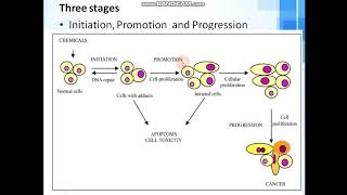 carcinogenesis [upl. by Carson930]