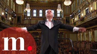 The 2014 Vienna Philharmonic New Years Concert with Daniel Barenboim [upl. by Ahlgren534]