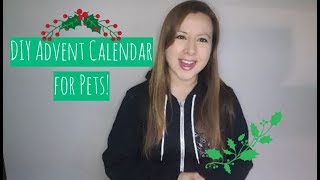 DIY Advent Calandar for your Dog or Cat [upl. by Avla]