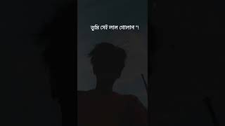 Srotoshini Lyrics Lofi 🖤🦋  ENCORE  Lyrics  স্রোতস্বিনী ✨ fypシ lyrics music hitsong [upl. by Salomi918]