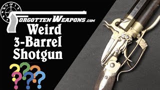 A Mystifying 3Barrel Percussion Shotgun [upl. by Carol]