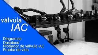 Válvula IAC Tomco  Funcionamiento  Conoce a detalle nuestra Válvula [upl. by Stanislas]