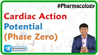 Cardiac Action Potential Phase Zero [upl. by Freyah]