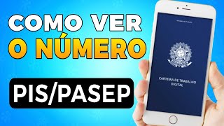 💥RESOLVIDO Como Ver o NÚMERO do PISPASEP de forma FÁCIL [upl. by Jorgan482]