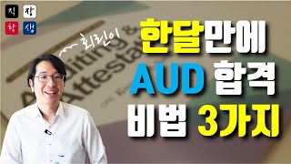 AICPA 미국회계사 시험 한달만에 회린이가 붙은 비법 amp 썰 [upl. by Koerlin]