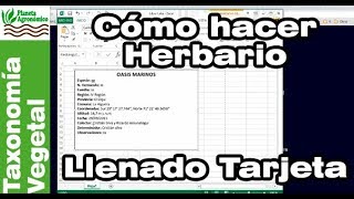 Cómo hacer un HERBARIO 🍃🍀  55  Llenado de TARJETA 📝 de IDENTIFICACIÓN de planta y muestra [upl. by Yebot847]